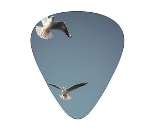 Plettri per chitarra Migrazione di uccelli Stampati Ukulele Basso Chitarre acustiche elettriche Sottile Medio Pesante Confezione da 12 (0,46/0,71/0,96 mm)