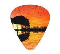 Plettri per chitarra Musica per chitarra Sunset Print Confezione da 12 plettri per chitarra basso elettrico acustico Ukelele
