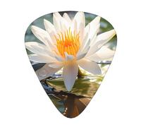 Plettri per chitarra nazionale thailandese in tre diversi spessori, adatti per chitarra elettrica e musicisti di band