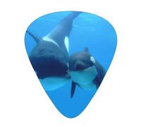 Plettri per chitarra Orca Killer Whales, 12 confezioni per basso, chitarra acustica ed elettrica, per gli amanti della musica