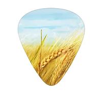 Plettri per chitarra Paddy Rice Field stampati personalizzati, confezione da 12 plettri per chitarra basso elettrico acustico Ukelele