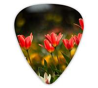 Plettri per chitarra Piccolo fiore rosso 12 pezzi Plettri per ukulele inclusi 0,46 mm 0,71 mm 0,96 mm