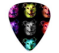 Plettri per chitarra Rainbow Pitbull Art Pattern Plettri per basso premium per chitarra elettrica e basso con tre dimensioni (confezione da 12)