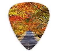 Plettri per chitarra Scenario lungo la strada Foglia d'acero 12 pezzi Plettri per ukulele inclusi 0,46 mm 0,71 mm 0,96 mm