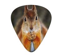 Plettri per chitarra, scoiattolo dal pensiero divertente per chitarra acustica, chitarra elettrica, basso, ukulele tre dimensioni (confezione da 12)