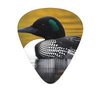 Plettri per chitarra, set da 12 pezzi, comodi da tenere in mano, con bordi lisci, tre spessori da abbinare al modello Loon Birds