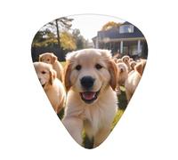 Plettri per chitarra, set da 12 pezzi, comodi da tenere in mano, con bordi lisci, tre spessori da abbinare al modello Golden Retriever Puppies
