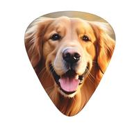 Plettri per chitarra, set da 12 pezzi, comodi da tenere in mano, con bordi lisci, tre spessori da abbinare a Lovely Golden Retriever Dog Picture