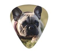 Plettri per chitarra, set da 12 pezzi, comodi in mano, con bordi lisci, tre spessori da abbinare a Bulldog francese, immagine carina