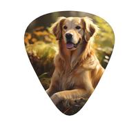 Plettri per chitarra Set da 12 pezzi Comodo in mano con bordi lisci Tre spessori da abbinare al golden retriever Immagine