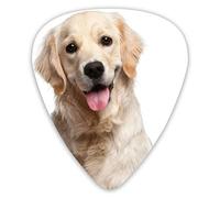 Plettri per chitarra Simpatici plettri per ukulele Golden Retriever 12 pezzi inclusi 0,46 mm 0,71 mm 0,96 mm