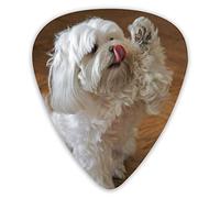Plettri per chitarra Simpatici plettri per ukulele per cani maltesi 12 pezzi inclusi 0,46 mm 0,71 mm 0,96 mm