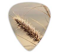 Plettri per chitarra Spighe di grano al sole 12 pezzi Plettri per ukulele inclusi 0,46 mm 0,71 mm 0,96 mm
