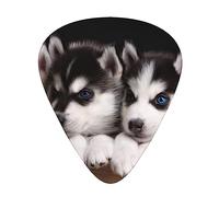 Plettri per chitarra Stampa Husky Dog Confezione da 12 Plettri per chitarra sottili medi pesanti Accessori per chitarra per basso, chitarre con scatola portaoggetti