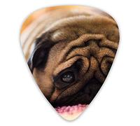 Plettri per chitarra The Pug Dog Plettri per ukulele 12 pezzi inclusi 0,46 mm 0,71 mm 0,96 mm