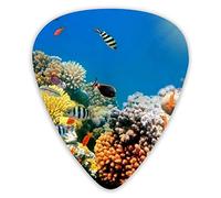 Plettri per chitarra Tropical Fish Coral Reef Underwater Premium plettri per basso per chitarra elettrica e basso con tre misure (confezione da 12)