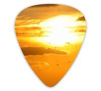 Plettri per chitarra Uccelli che volano al tramonto Animal 12 pezzi Plettri per ukulele inclusi 0,46 mm 0,71 mm 0,96 mm