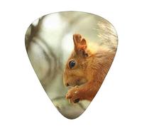 Plettri per chitarra Wildlife Forest Scoiattolo Ukulele Basso Chitarre acustiche elettriche Sottile Medio Pesante Confezione da 12 (0,46/0,71/0,96 mm)