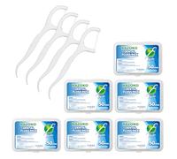 Plettri per filo interdentale, stuzzicadenti ad alta tirata Stick da 6 pezzi (300 pezzi) stuzzicadenti Clean/Heathy con custodia da viaggio Perfetto per famiglia, hotel, viaggi