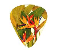 Plettri per ukulele, campionatore per chitarristi, 12 pezzi, per chitarra acustica, basso e chitarra elettrica, stampa Tropical Bird of Paradise