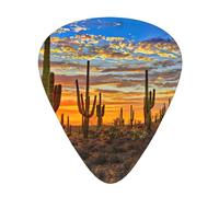 Plettri per ukulele, campionatore per chitarristi, 12 pezzi, per chitarra acustica, basso e chitarra elettrica, stampa tramonto cactus nel deserto