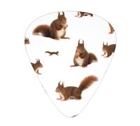 Plettri per ukulele, chitarristi Sampler, 12 pezzi, per chitarra acustica, basso e chitarra elettrica, stampa con simpatici scoiattoli