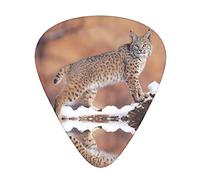 Plettro per chitarra Canada Lynx Advanced 12 pezzi Tre spessori per basso, chitarra elettrica, borsa per chitarra acustica