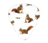 Plettro per chitarra con stampa a forma di scoiattolo, unisex, accessori triangolari per strumenti (12 pezzi su un lato)