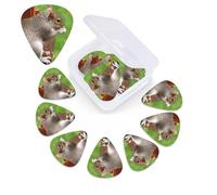 Plettro per chitarra con stampa di scoiattolo divertente, confezione da 12 pezzi, con custodia per plettro, plettri per chitarra, 0,46 mm, 0,96 mm, 0,71 mm, accessori per chitarra per basso, chitarre