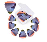 Plettro per chitarra con stampa paesaggio marino irlandese, confezione da 12 pezzi, con custodia per plettro, plettri per chitarra, 0,46 mm, 0,96 mm, 0,71 mm, accessori per chitarra per basso,