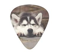 Plettro per chitarra Husky Dog Advanced 12 pezzi Tre spessori per basso, chitarra elettrica, borsa per chitarra acustica
