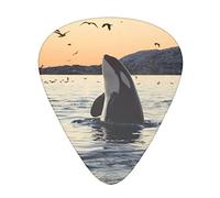 Plettro per chitarra Killer Whale Advanced 12 pezzi Tre spessori per basso, chitarra elettrica, borsa per chitarra acustica