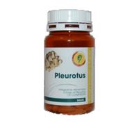 PLEUROTUS LINEA BASIC 120CPR