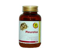 PLEUROTUS LINEA PLUS 90CPR