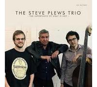 Steve Plews Trio The Importance of What Is Not (CD) Album