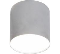 PLEXI M PLAFONIERA ARGENTO/BIANCO SPOT NT 1X POINT 6527