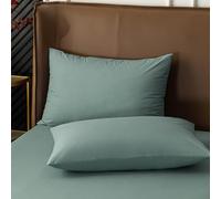 PLIAGE 1Piece Federa in Tessuto Impermeabile Fodera per Cuscino a Prova di umidità e Sudore 48x74cm per Camera da Letto Home Hotel