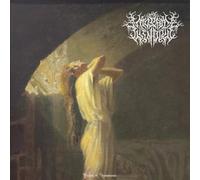 Plight Of Acceptance