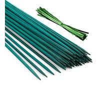 Pllieay 30 bastoncini di bambù verde da 30 cm, con 60 pezzi di legami intrecciati in metallo verde, palo di pianta in legno verde, picchi floreali, bastone da giardino in legno, bastone da pianta