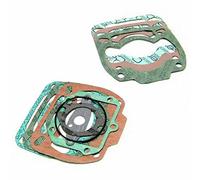 Pln2090322 - guarnizioni polini per cilindro compatibile con rotax 123 rs 125