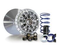Pln241741 - variatore a 12 rulli hi-speed 241.741 compatibile con Y.A.M.A.H.A. x-max 300