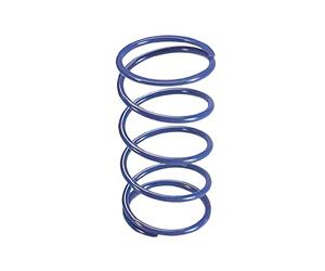 Pln243074 - molla di contrasto polini