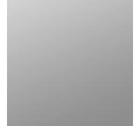 plottiX Pellicola termoadesiva, Argento, 32 x 50cm