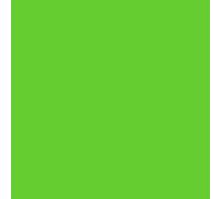 plottiX Perm. Pellicola in vinile, 31,5 cm x 1 m, colore: verde chiaro