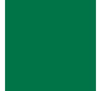 plottiX Perm. Pellicola in vinile, 31,5 cm x 10 m, verde