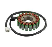 PLQAWRBT Bobina dello statore del Compatibile con Triumph Tiger 1050 | 1pcs Compatibile con Triumph Tiger 1050