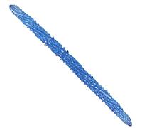 Plug anale dildo dildo di silicone liquido Anal Plug Lungo lungo Doppio dildo lungo Stimolare i giocattoli sessuali doppi (blu)