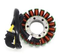 Plug and Play 31120-MER-D01 Accessori Motociclette Bobina Generatore Statore Motore Magneto Per CBF600N Naked CBF600S PC38