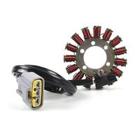 Plug and Play Bobina Statore Motore Magnete Generatore Alternatore Per BMW S1000RR K46 S1000R K47 S1000XR K49