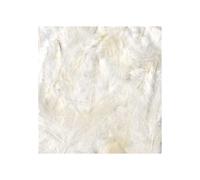 Plumes ÃbouriffÃ©es Bianche 10g (grande confezione)